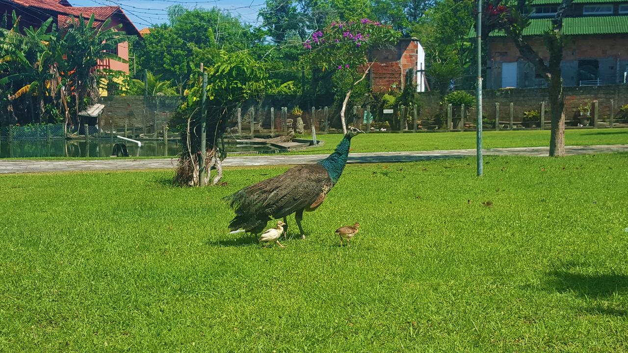 Pousada Pavao Branco Florianópolis 外观 照片