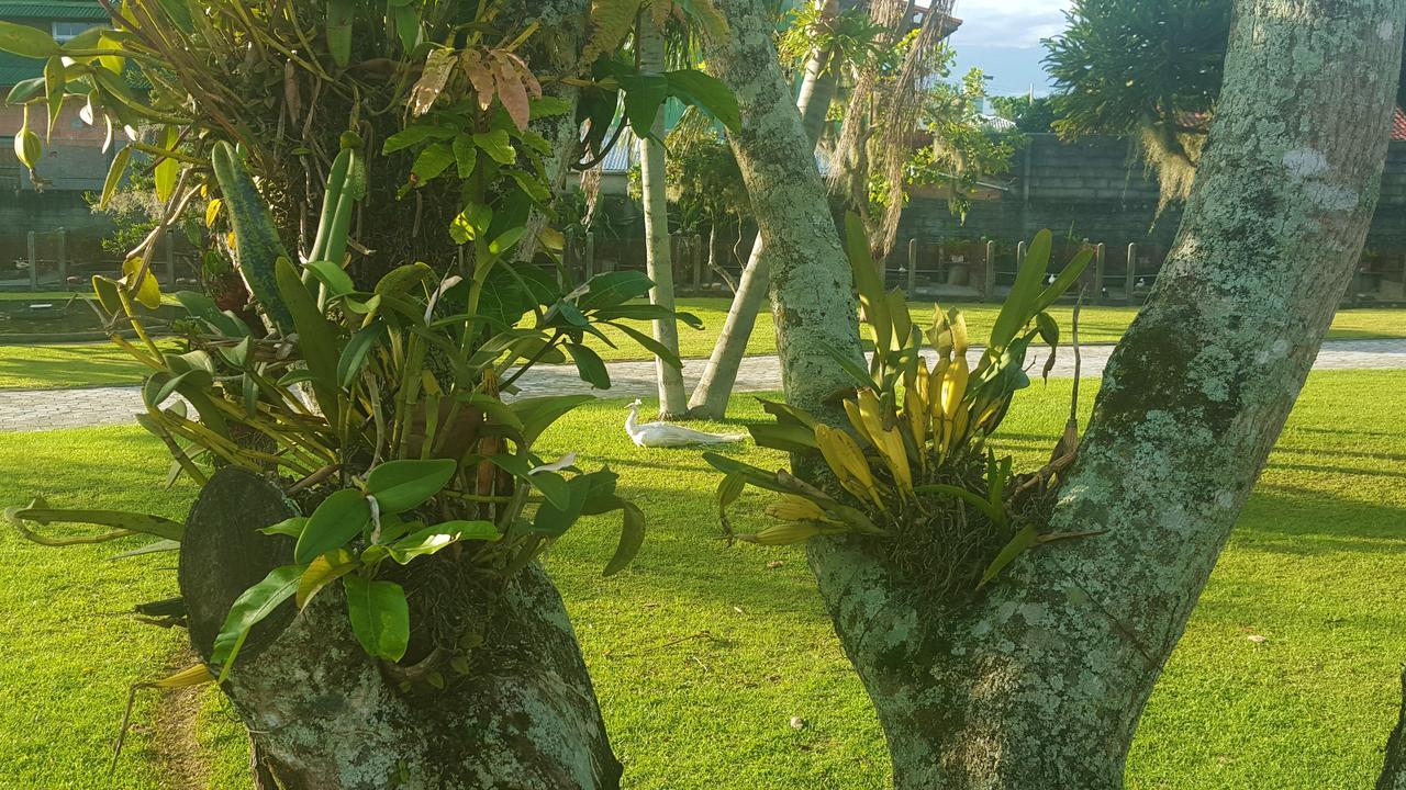 Pousada Pavao Branco Florianópolis 外观 照片