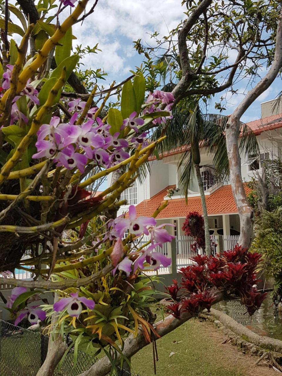 Pousada Pavao Branco Florianópolis 外观 照片