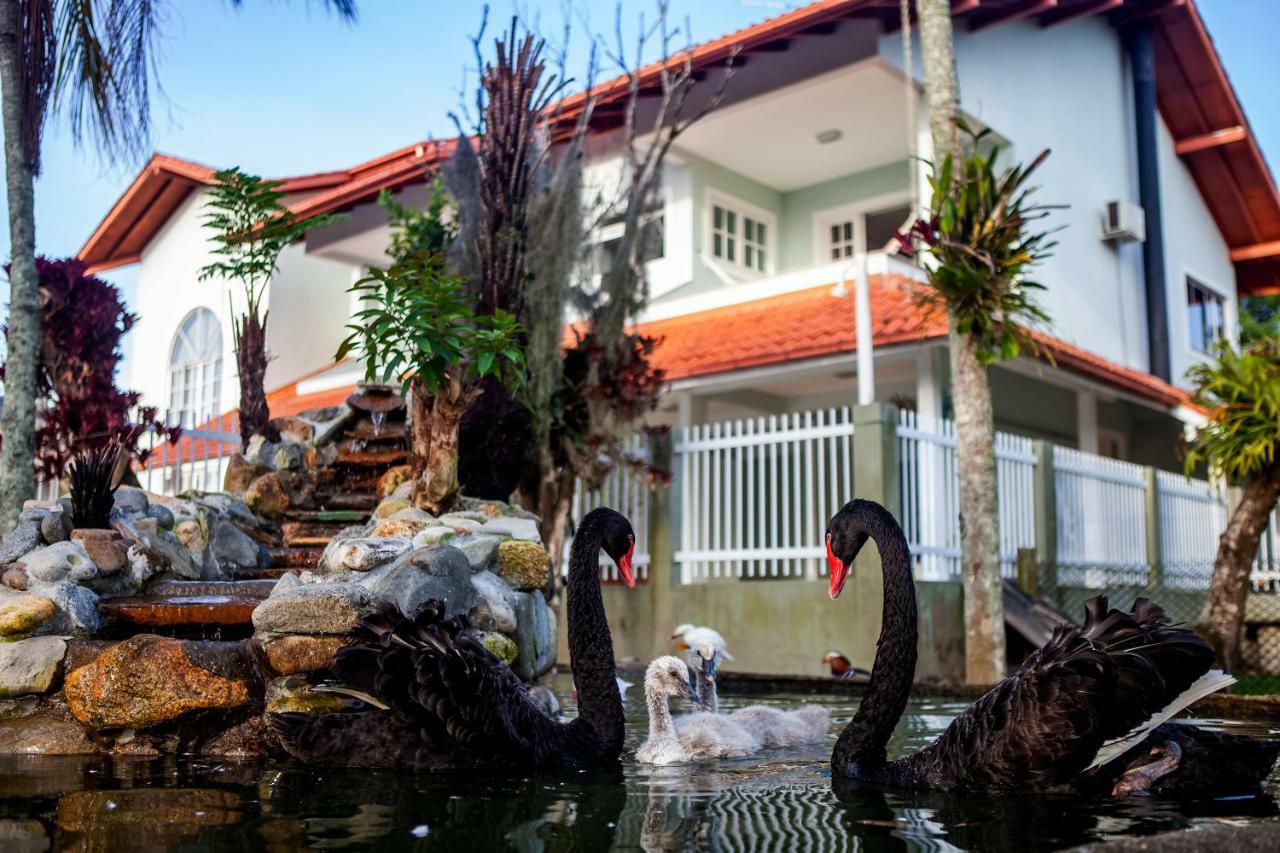 Pousada Pavao Branco Florianópolis 外观 照片